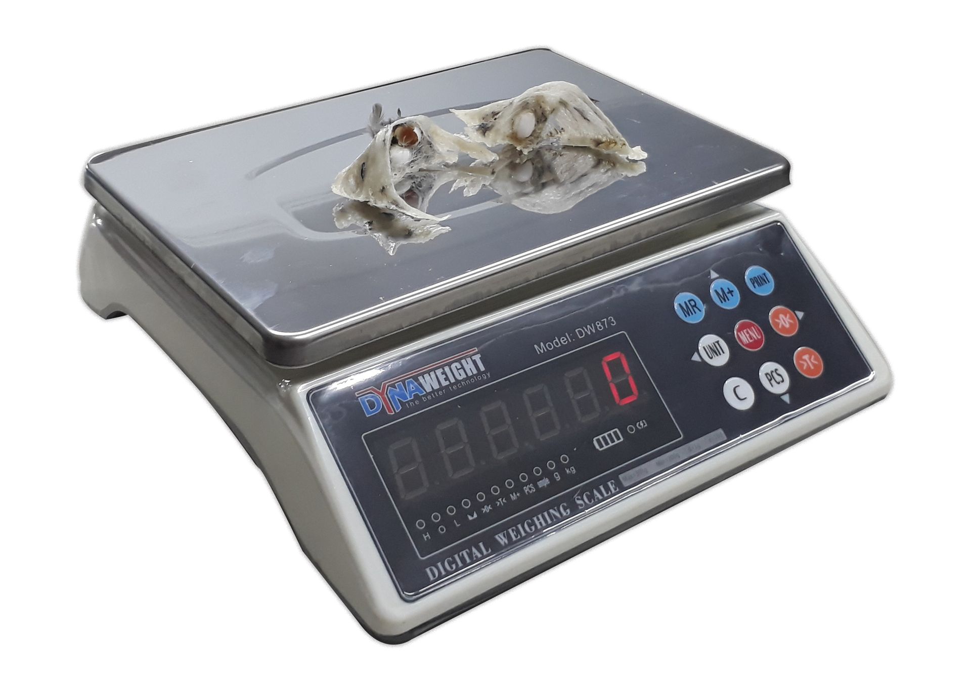 Digital Weighing Scale Dynaweight Thailand